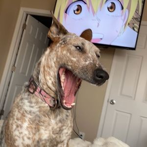 Meet your Posher, Naomi